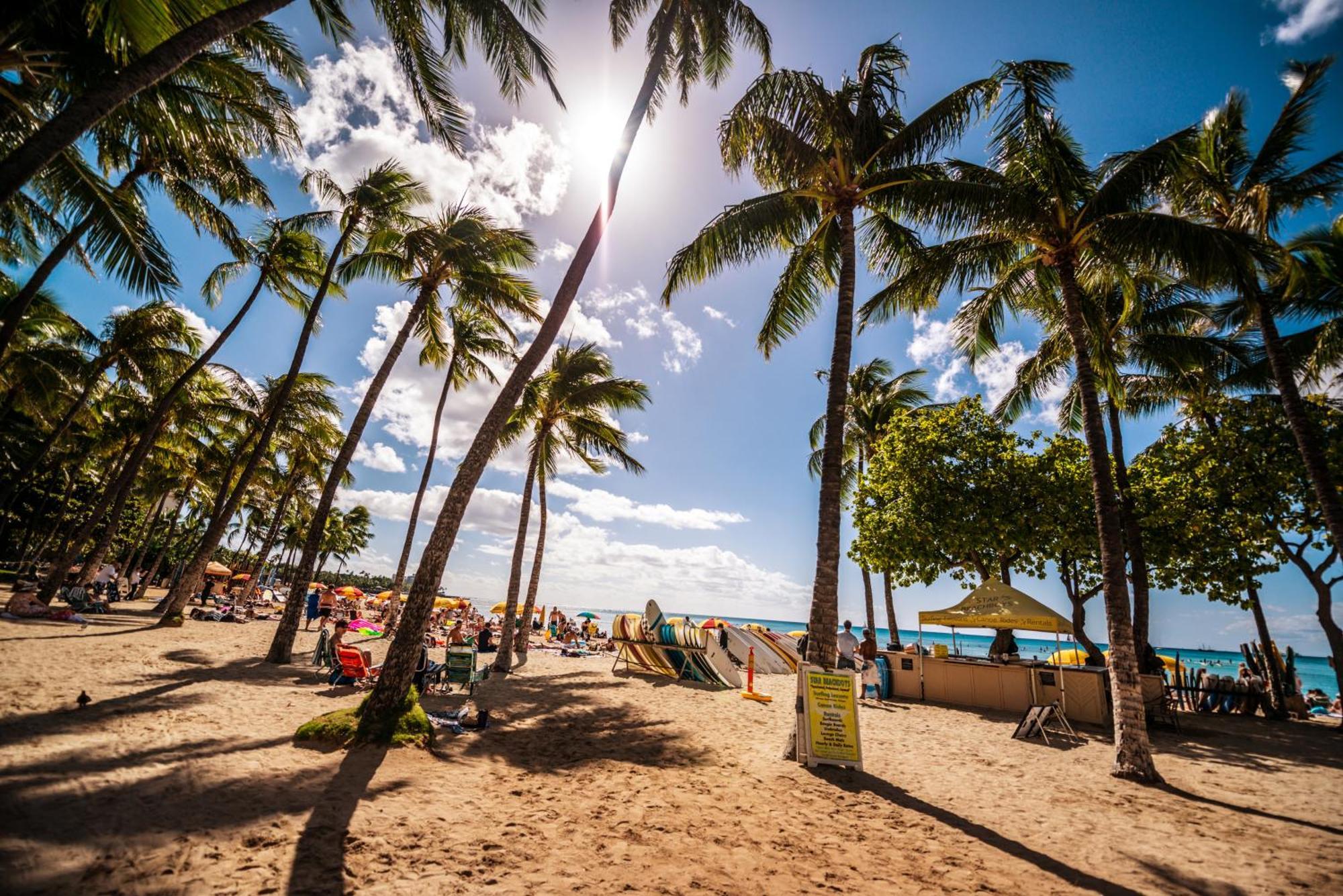 Diamond Head View Close To Waikiki Beach With Parking Honolulu Ngoại thất bức ảnh